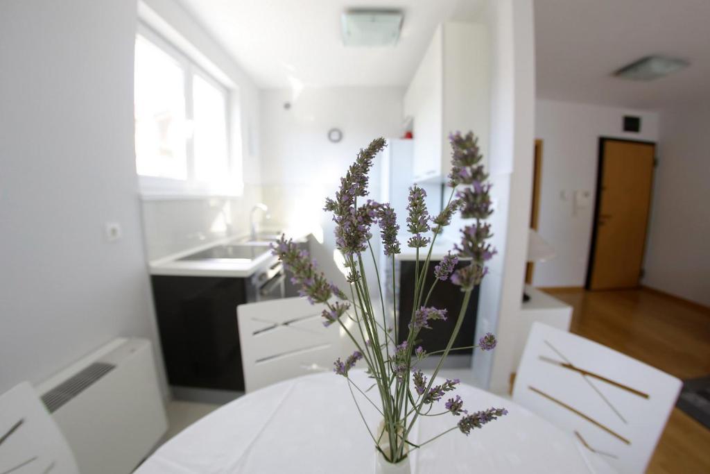 Lila Apartmán Zadar